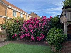 Photo 21- click for photo gallery